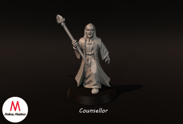 Counsellor - x1