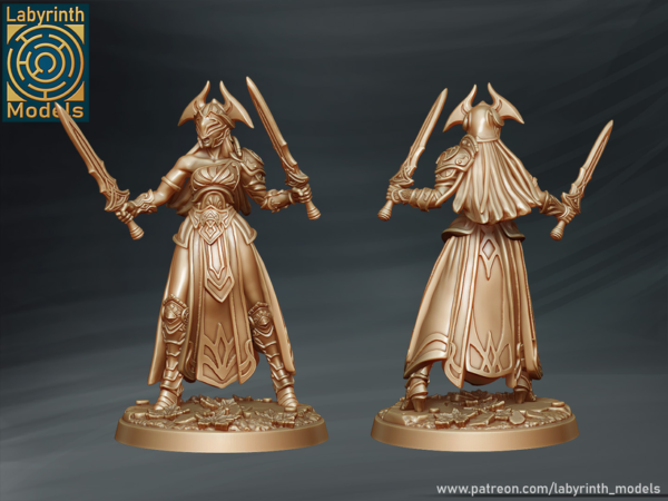 Fury 2 - Labyrinth Models