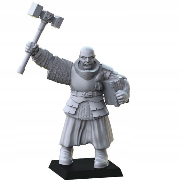 Warrior Priest Pack - Magori Miniatures - Druk 3D