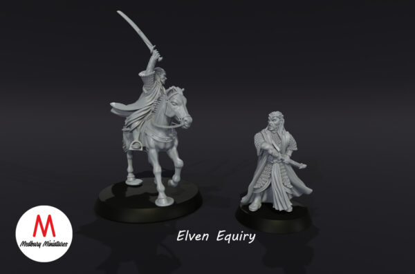 Elven Equiry - Zestaw F/M - Wood Elves