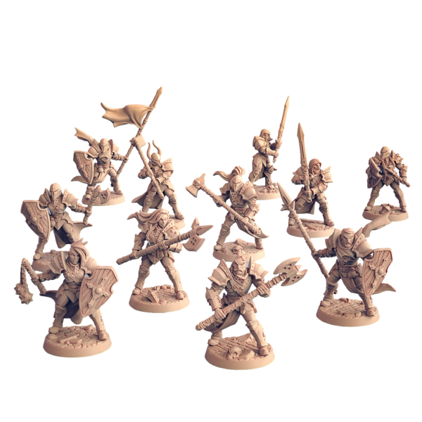 Human Fighters Guild - x1
