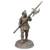 Knight Conquistador With Spear