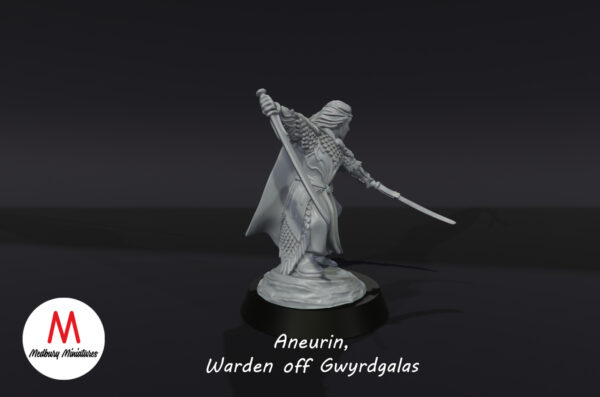 67f51e3c1ae156bc1f55adf23f9f6a7e.jpg Aneurin, Warden of Gwyrdgalas - Wood Elves