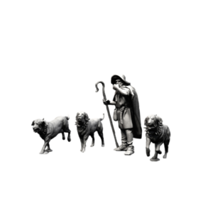 Shepherd and Spanish Mastiffs