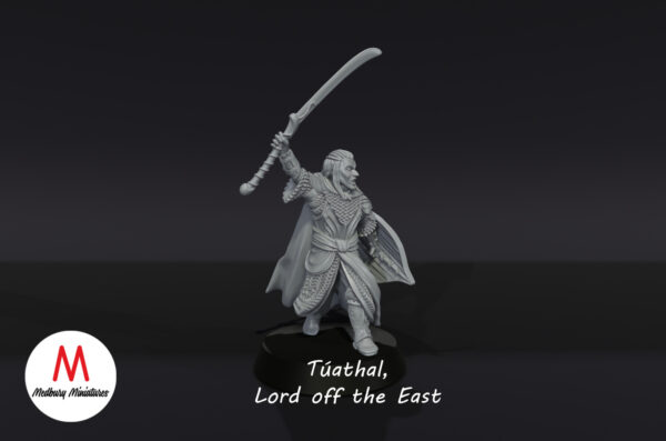 69c959cba0e8ada96268790676b021ff.jpg Tuathal, Lord of The East - Wood Elves