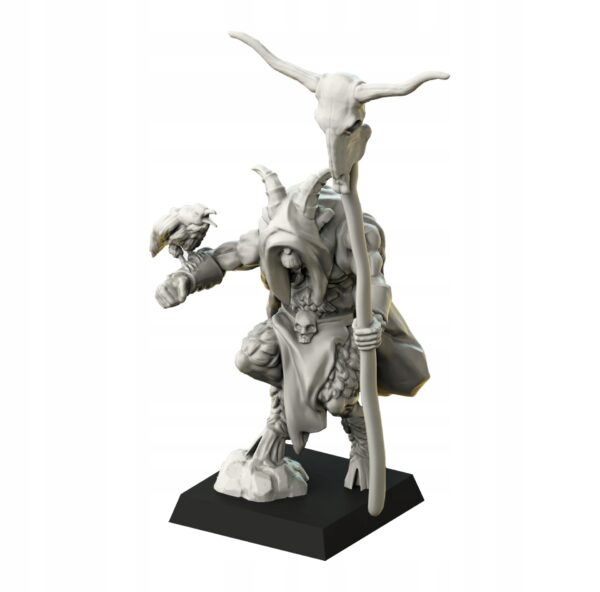 Shaman - Magori Miniatures - Druk 3D