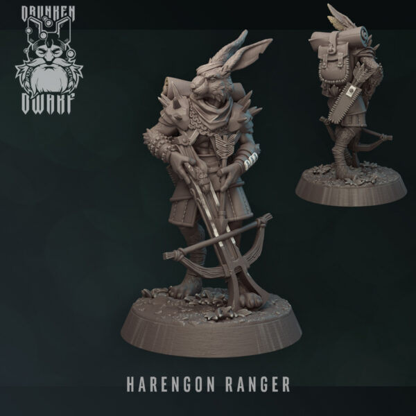 74bd8f755b9d16f59aea3de70ac2151f.jpg Harengon Ranger