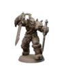 Barbarians Fury Set