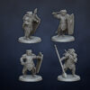 Huskarls - x5