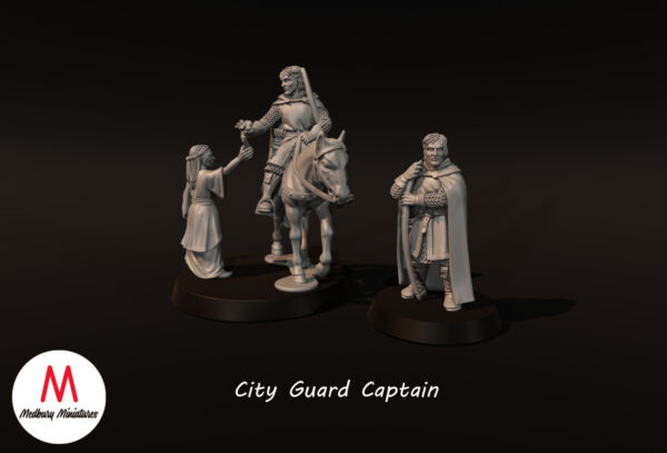 City Guard Captain Mounted