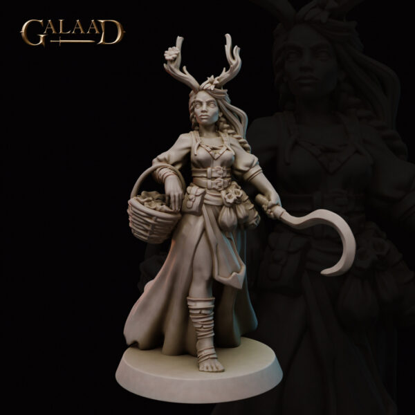 Female Druid of the forest