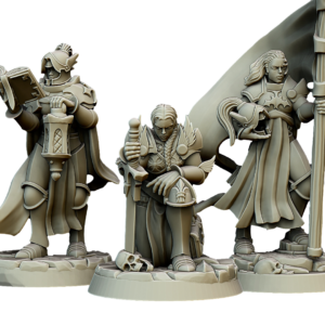 Warriors of the Lady Command - Dowódcy Wojowników Damy