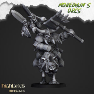 91c2ed12b2b2abf687aa5787c27dcb3a.jpg Mounted Orc Chief - x1