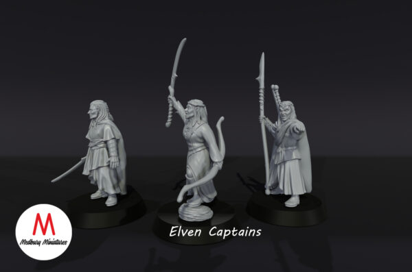 Elven Captains - Wood Elves - 3 Pozy