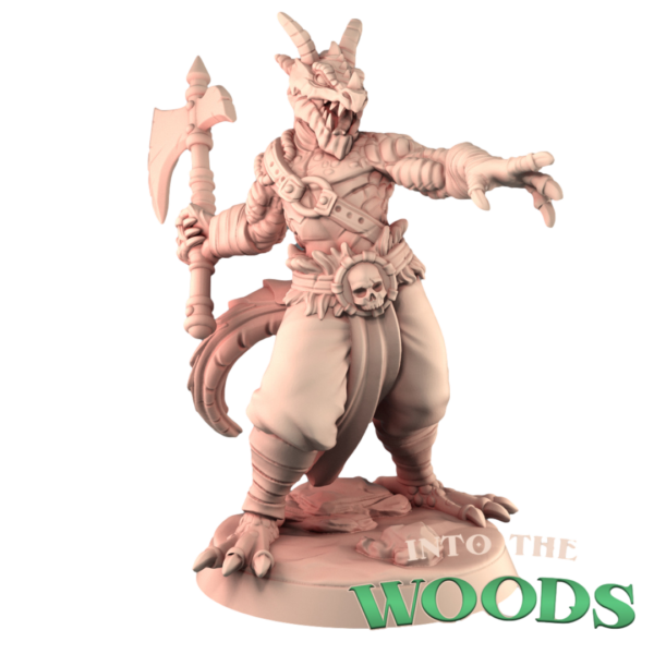 Dragonborn Warrior
