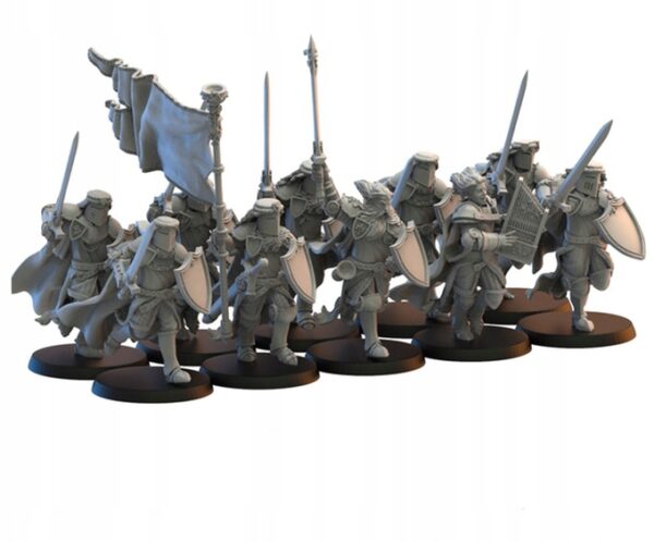 Calix Knights on Foot- Lost Kingdom - wydruk 3D