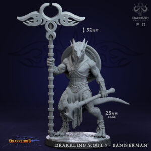 985b9be5426f6e190ebb1626c6d2bfc7.jpg Drakkling Scout Bannerman - #7