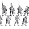 9897d379eb43b9b7610355f9bc3fa5f2.png The Empire Light/Medium Infantry - x1