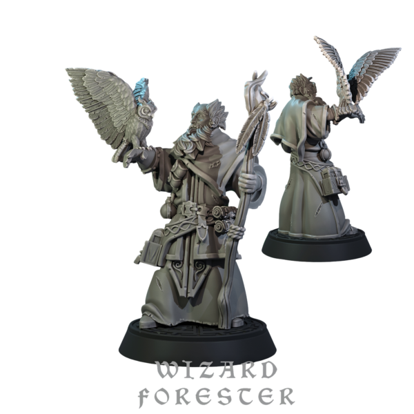 9944f8c12cba96c64b579e938943b3eb.png Wizard Forester