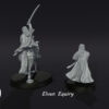 Elven Equiry - Zestaw F/M - Wood Elves