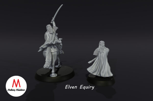 Elven Equiry - Zestaw F/M - Wood Elves