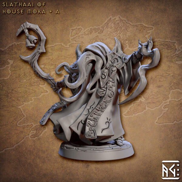 9addbd4c077afd4a578aba89213d0f00.jpg House Mora Slathaai - x1