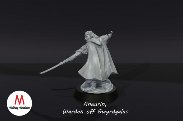 9b0eb9f855c34b3e25496e4830803fa2.jpg Aneurin, Warden of Gwyrdgalas - Wood Elves