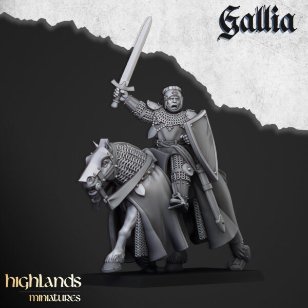 Young Knights of Gallia Command - x1
