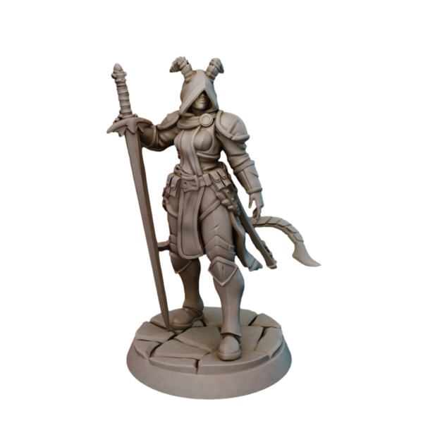 9cb74c8ede3e837fea827c8824786d81.png Paladins Guild Set