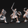 High humans warriors with Swords and Shields - x6