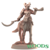 Centaur 4