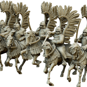 Winged Hussars - Knights with Swords