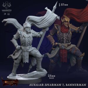 Auxilliar Spearmen Bannerman - #7