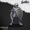 Knights of Gallia on Foot - x17 + 3 CMD