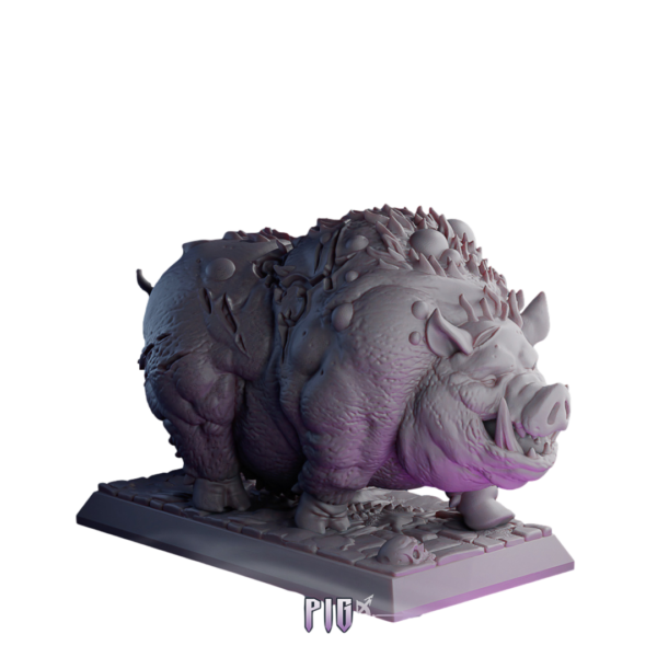 Pig