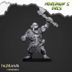 afceaaf58fe81990350667095a2ac354.jpg Cave Orcs - x1