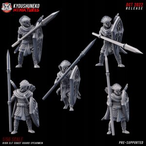 b20b92a136cdd22569fffda613e03f53.jpg High Elf Coast Guard Spearmen