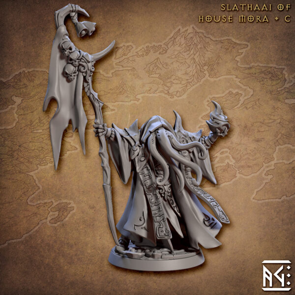 b27792f03d0f4efb8617bdbfc283e798.jpg House Mora Slathaai - x1