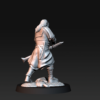 b809bda2230111edc7b4f2b5cb76e326.png Outrider Blood Handed Captain with Two Swords - x1