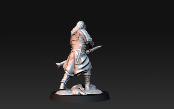 b809bda2230111edc7b4f2b5cb76e326.png Outrider Blood Handed Captain with Two Swords - x1