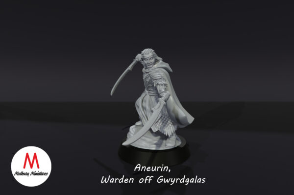 ba1242412c2c76370471d6a4e0066c16.jpg Aneurin, Warden of Gwyrdgalas - Wood Elves