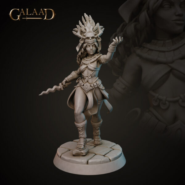 bb052f7fb13e9b6e518906af9a7798d0.jpg Aztec Shaman
