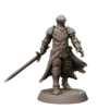 bb9da847af7e25eb58867317b15fac77.png Paladins Guild Set