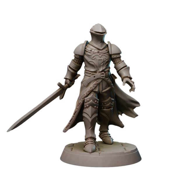 bb9da847af7e25eb58867317b15fac77.png Paladins Guild Set
