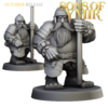 c5098767833cb0cf8eaab6f288d9081c.png Dwarf Mercenary Captain