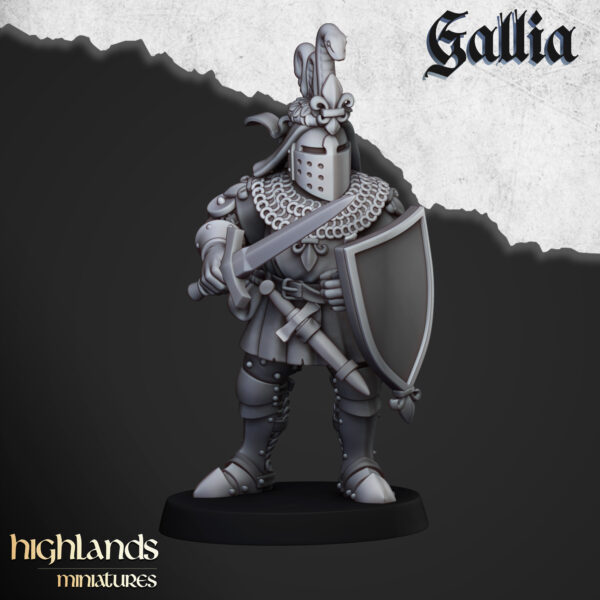 Knights of Gallia on Foot - x17 + 3 CMD