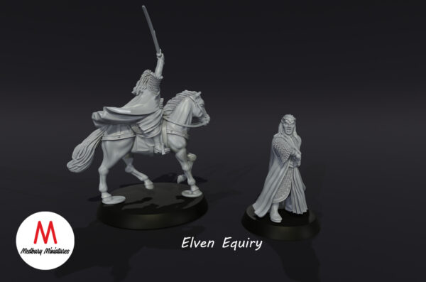 Elven Equiry - Zestaw F/M - Wood Elves