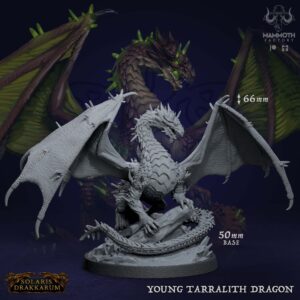 cad00ef524f1a541372c516ac067aa8d.jpg Young Tarralith Dragon - x1