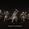 cb55f619d41b17c82bfb17104ac53106.jpg Torgorod Commanders - x1