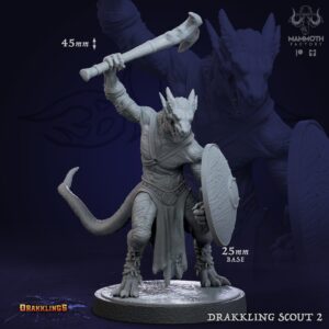 cb87a95673c52d5a5278cb3f6fa5923c.jpg Drakkling Scout - #2